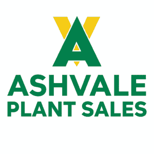 Ashvale Plant Sales company logo